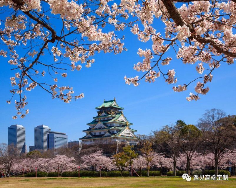 而3,4月的日本便已是 櫻花滿開,遍地落英,大阪和京都在 飄零的花瓣間