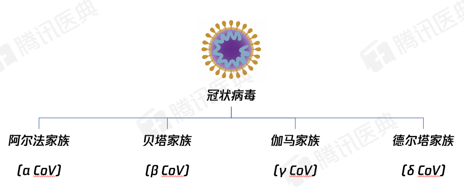 新型冠状病毒和sars是啥关系这个病毒家族是毒王专业户
