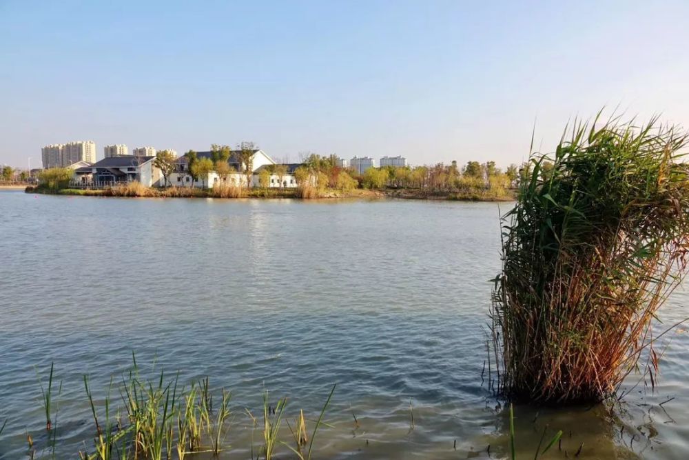 快上车!"平湖发布号"来了