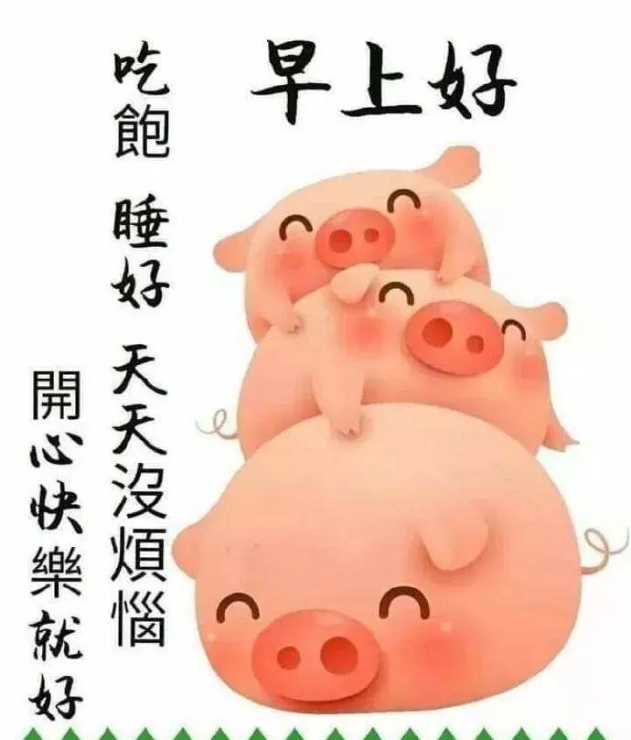 九月廿八早晨问候语图片带鲜花周五早上好祝福图片表情大全