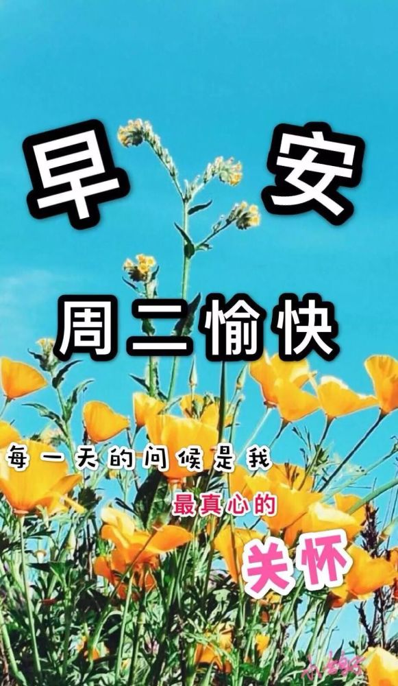 最新周二早上好祝福语动态表情图片冬天天冷暖心温馨的早安问候语简短