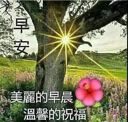 四月最新清晨早安问候动态表情图片,最美早上好祝福动态图