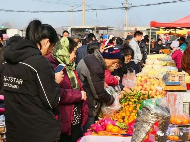 泰安市各鄉鎮集市時間表