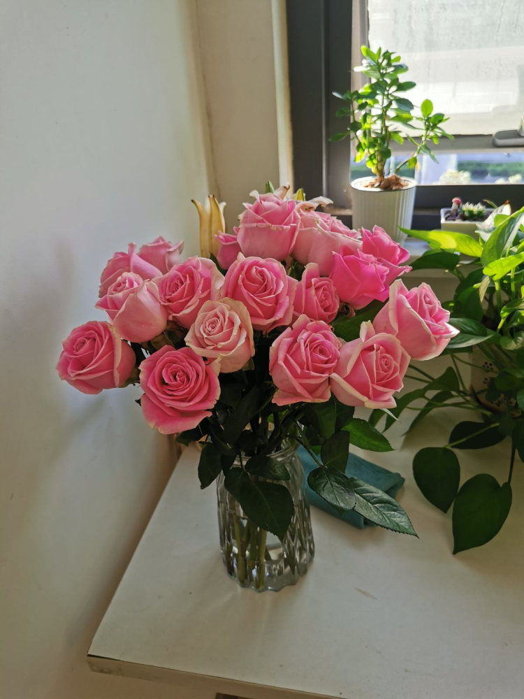 鲜花插瓶里 水里加点它 花期延长1个周 腾讯新闻