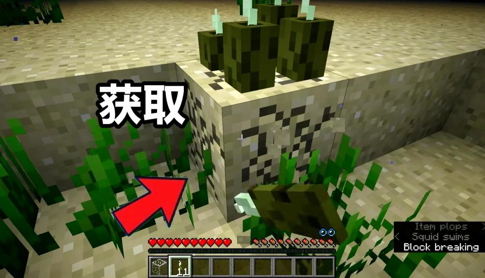 水下火把 是什么梗 我的世界 海泡菜你可能不知道的12个事实 腾讯新闻