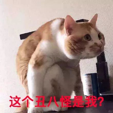 再回过头来看看抱着手机,低着头,驼着背,把脖子伸得老长的自己,也太