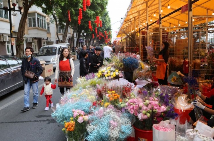 广州海珠花市开锣,今年还能"线上逛花市"