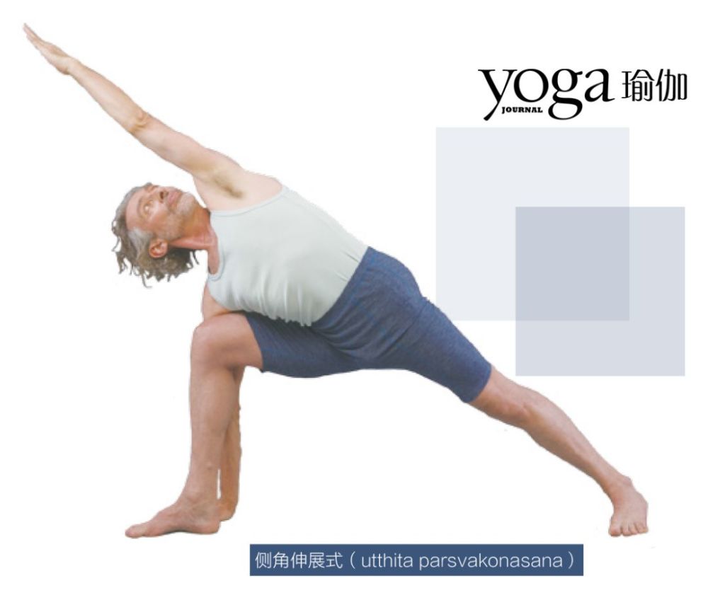 4. virabhadrasana i(战士Ⅰ式)