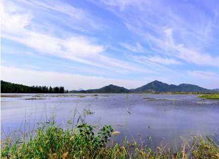 大美樅陽白雲生處有人家