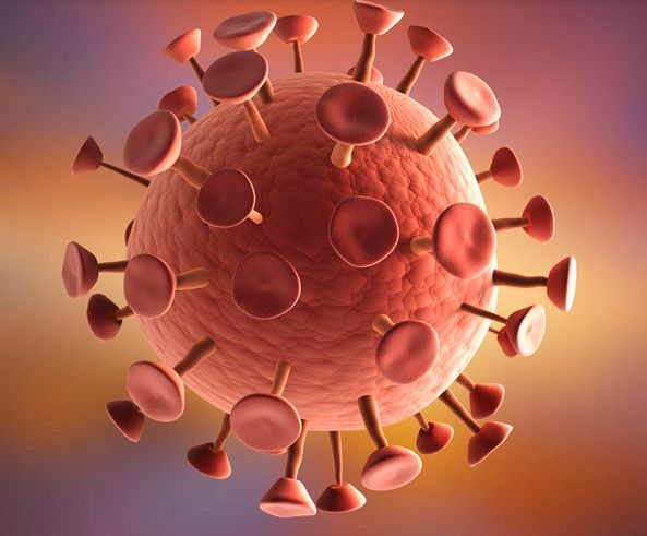 世界上十大最恐怖病毒和十大最惨烈瘟疫