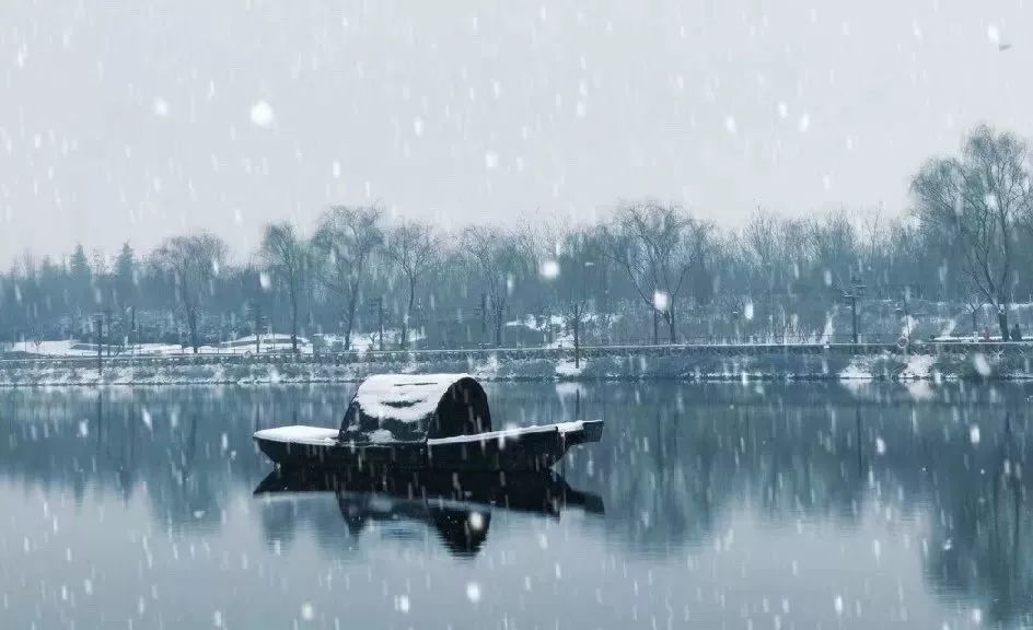 古琴千江雪孤舟蓑笠翁独钓寒江雪