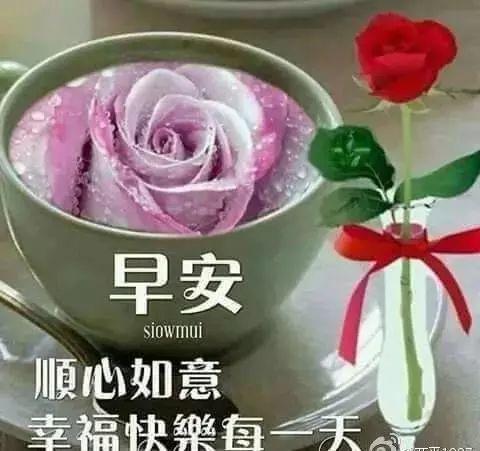 星期三最漂亮早上好问候语动态图片表情 清晨暧心问候祝福语录大全