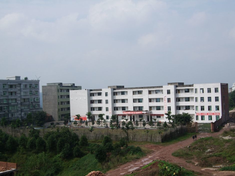 【方志四川 "忆沧桑·记奋斗·颂辉煌"征文】杨文钦 ‖ 合江县白鹿镇