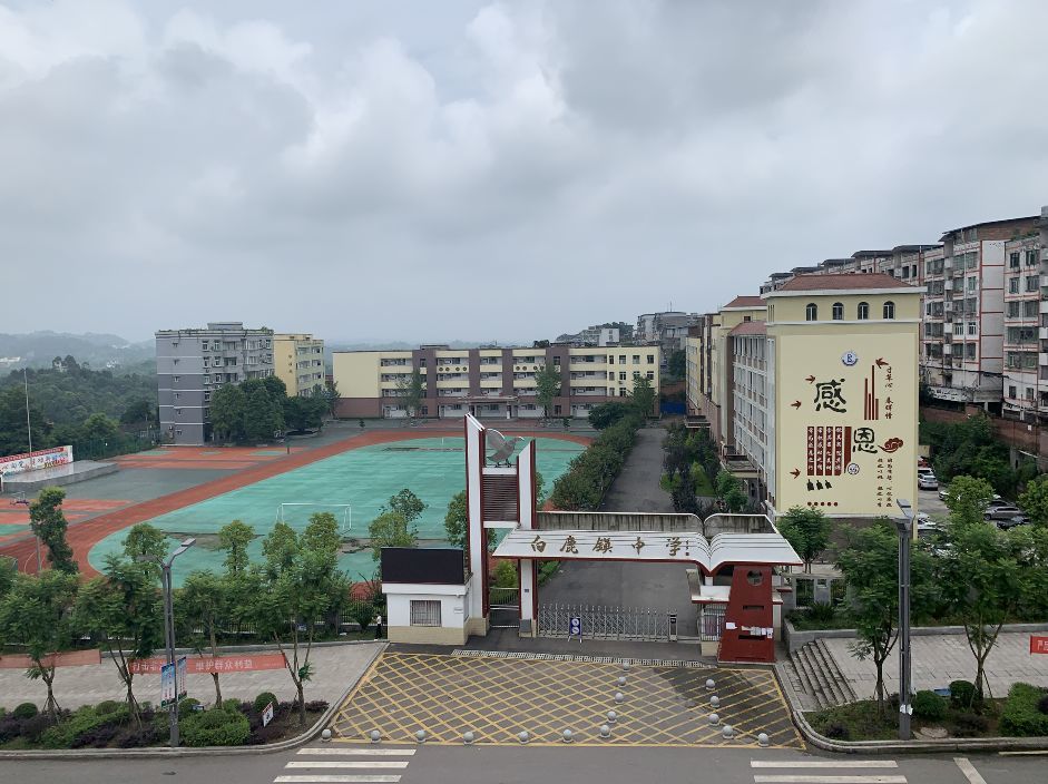 【方志四川 "忆沧桑·记奋斗·颂辉煌"征文】杨文钦 ‖ 合江县白鹿镇