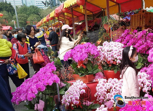 行花街年味浓广州传统迎春花市全面开启