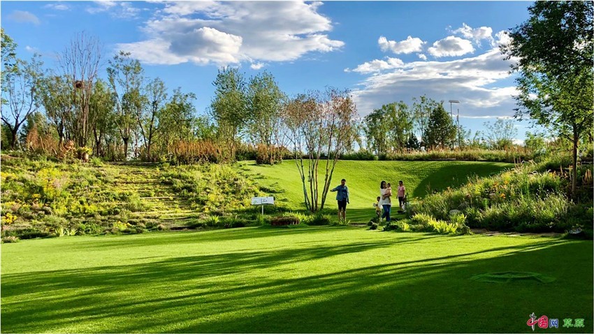 让草原重现天苍苍野茫茫六年来蒙草的生态答卷