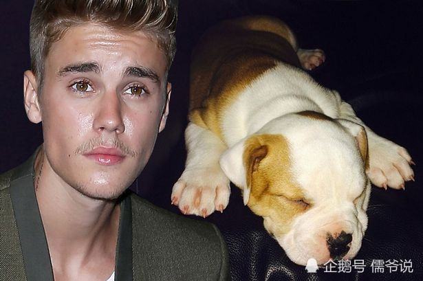 自曝患莱姆病后的比伯,发嘟嘴自拍感谢医生,精神状态不错