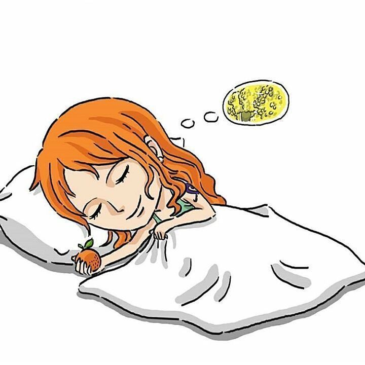 海贼王当草帽团众人进入梦乡路飞没想着当海贼王山治太真实