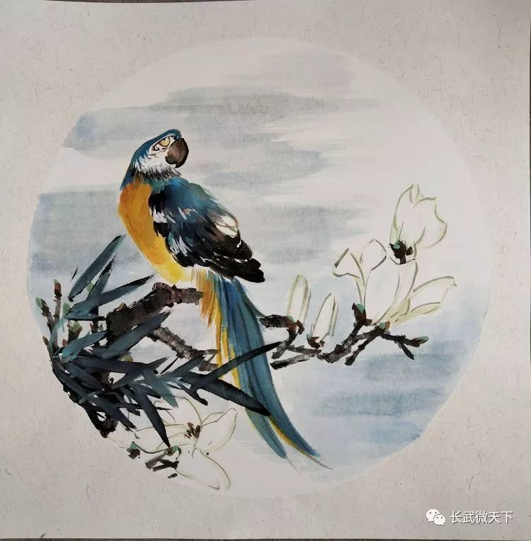 鑑賞張龍迎新春寫意花鳥畫作品小展