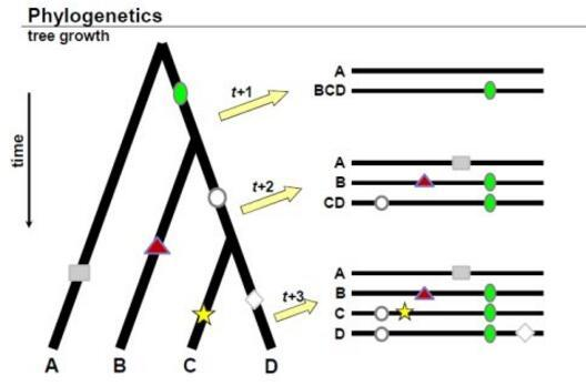 人人體內都有一條傳家寶男生是y染色體女生是線粒體dna