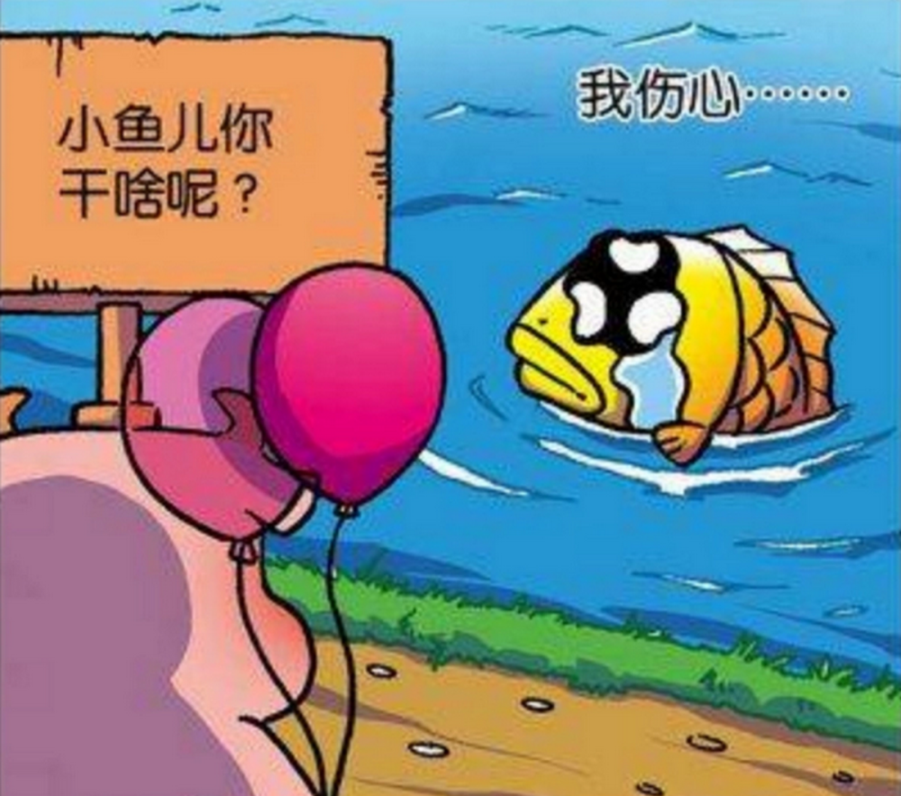 爆笑一刻小鱼失恋在河边哭泣么么的安慰差点要了它的命