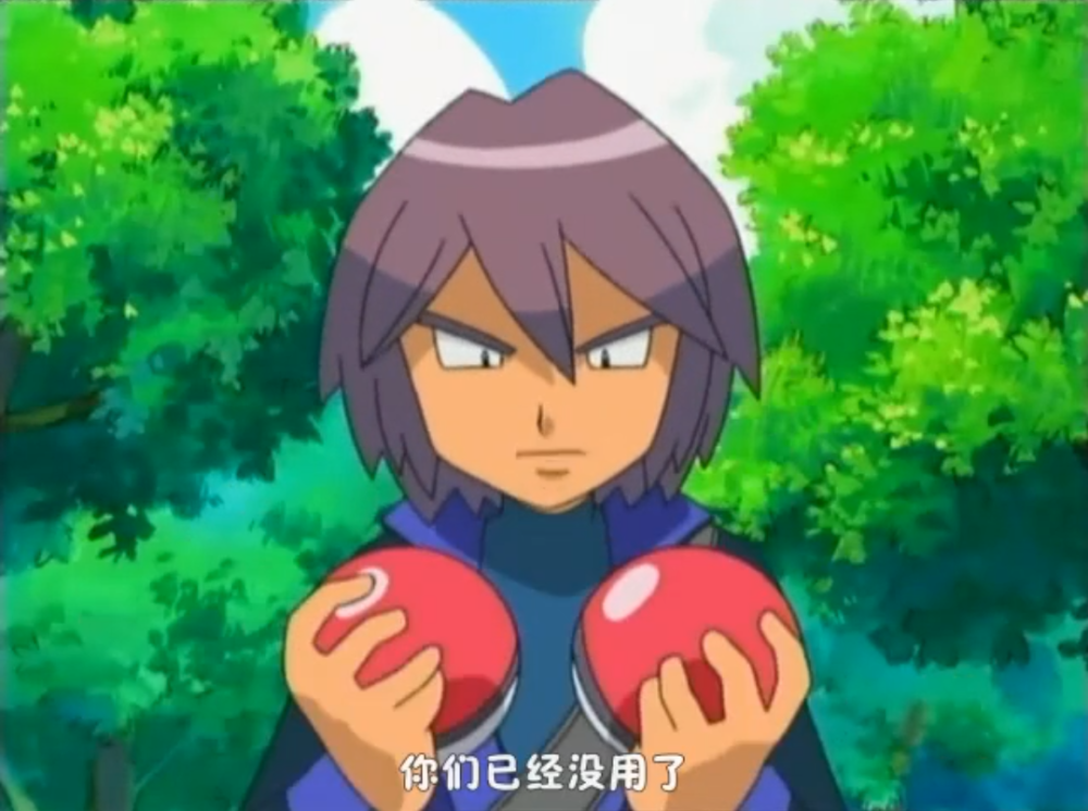 真嗣放弃培养了4种宝可梦,前3只没必要,最后那只真的没缘分