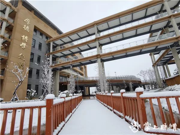 "拜年雪"来啦!来看看曲靖的雪!