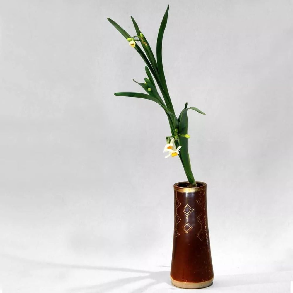 过年为什么要摆一盆水仙 腾讯新闻