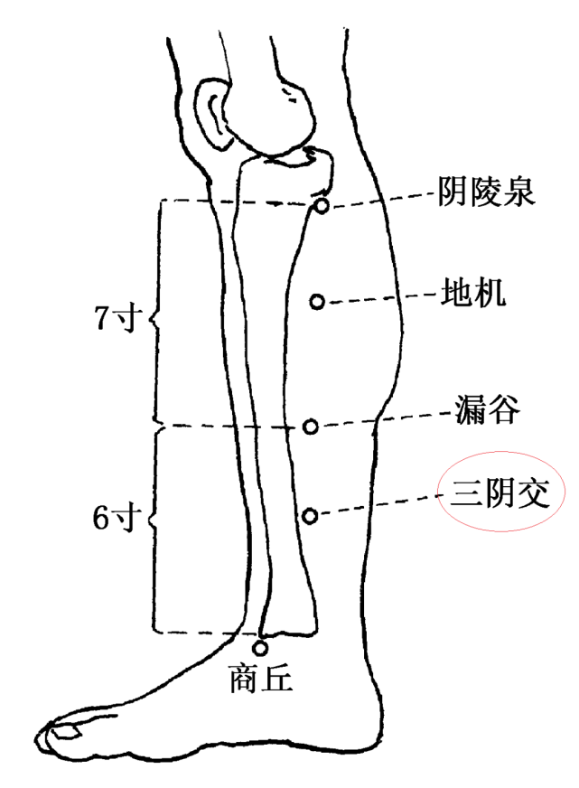 女人美容养生之道_女人美容美体养生有哪些项目_女性美容美体养生馆