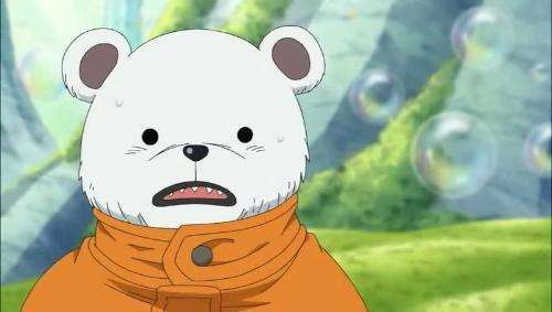 贝波是红心海贼团的航海士,皮毛族成员,是一头白色的熊,赏金500贝利