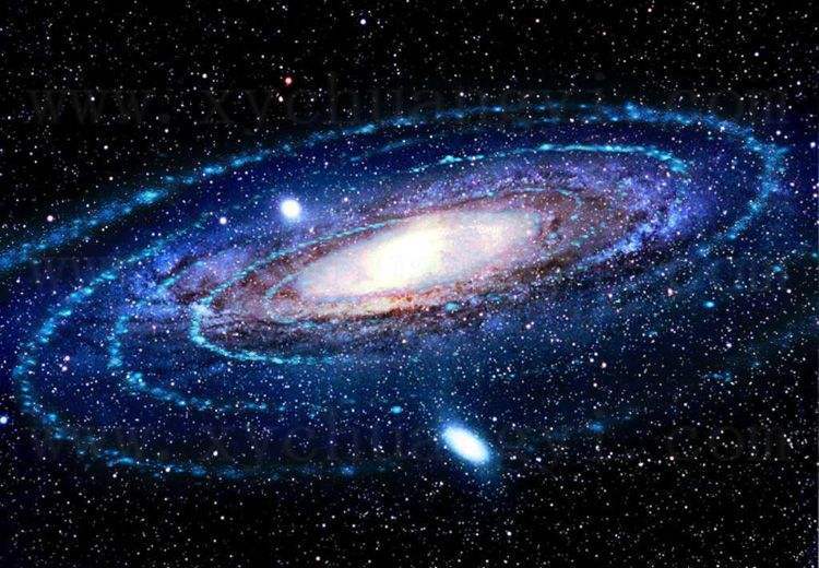 十二生肖|龙是否真的存在，还是外星生物？