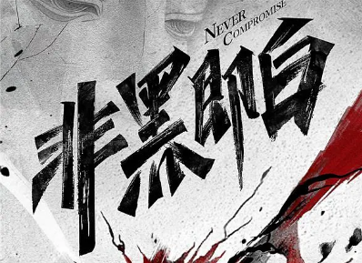 一个硬核一个软萌双男主动作燃剧非黑即白斗黑帮斗军阀