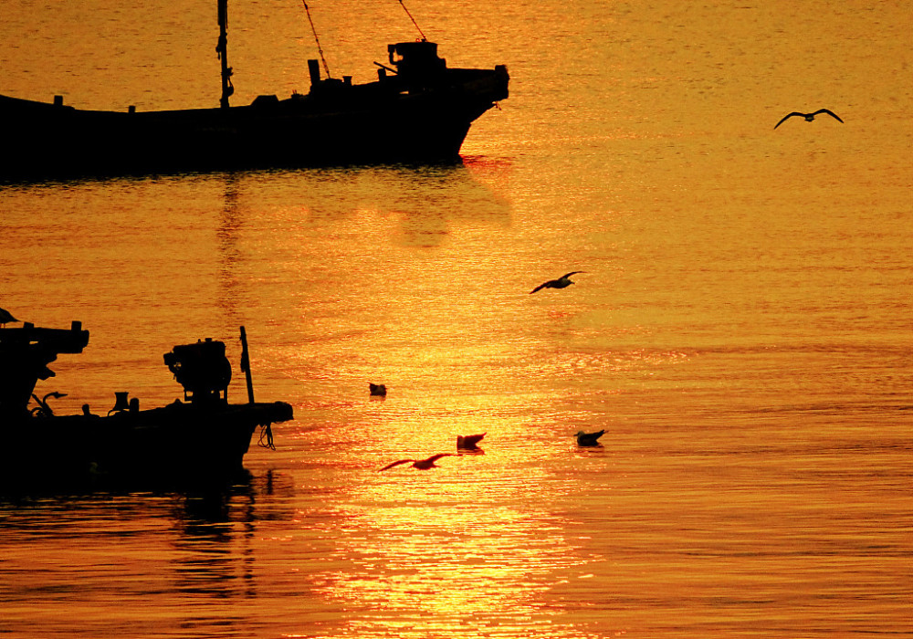   Sunset 夕陽