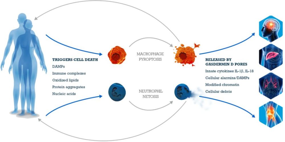 这家公司尚无先导化合物,凭什么A轮融资5000