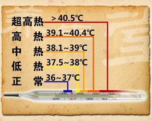 科普人体发烧的数值与类型