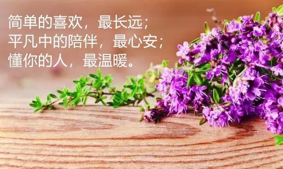 適合發朋友圈的人生感悟句子心情說說感悟至深的語錄