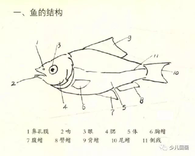 中国画技法鱼 腾讯新闻