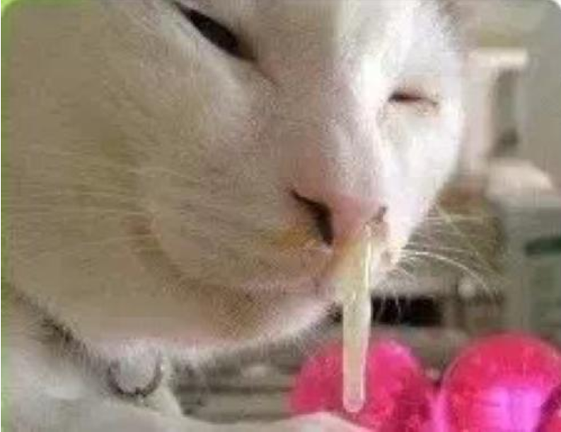 清水鼻涕or黄绿浓鼻涕从鼻涕来判断你的身体状况千万别小看了它们