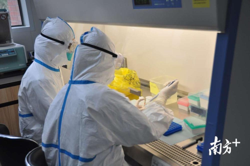 对话广东"防疫卫士"_腾讯新闻