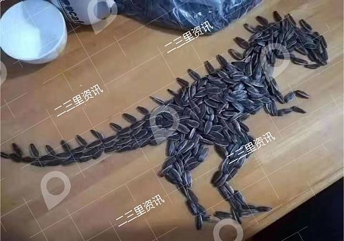 用瓜子摆出恐龙造型三天拼完8000粒乐高玩具抚顺小伙伴宅家抗疫