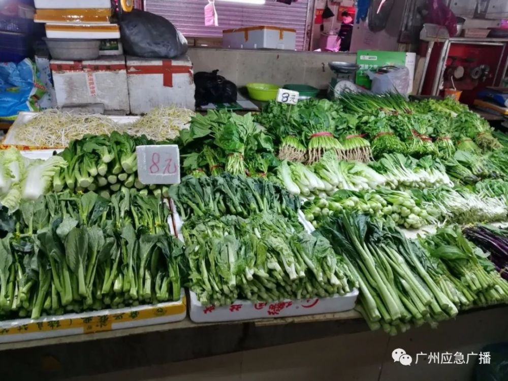 寺右肉菜市場各肉類,蔬菜品種數量充足,明碼標價.