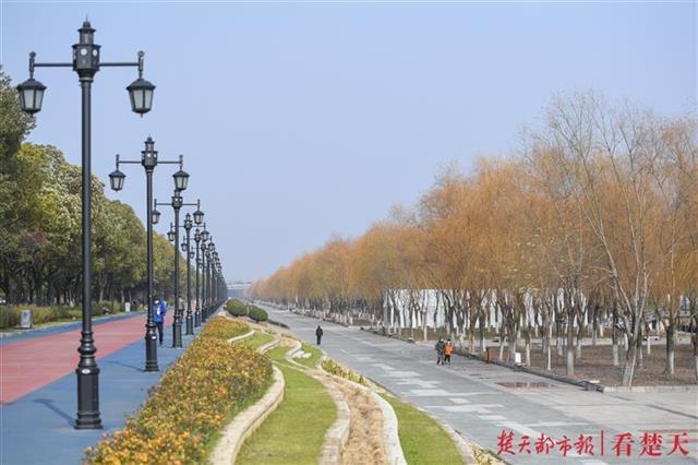 記者在漢口江灘公園三陽路段看到,暖暖的陽光下,三三兩兩的市民或在