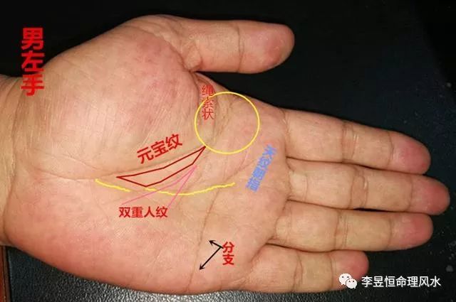手相天纹朝指夫妻和睦人纹双重多才多艺