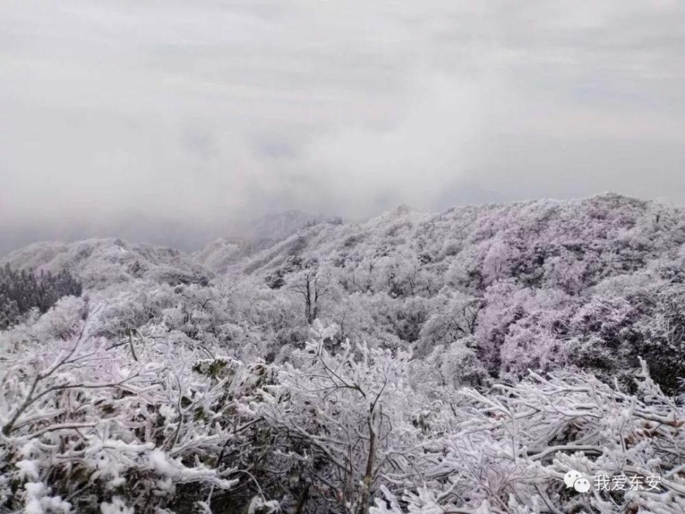 湖南永州下雪图片