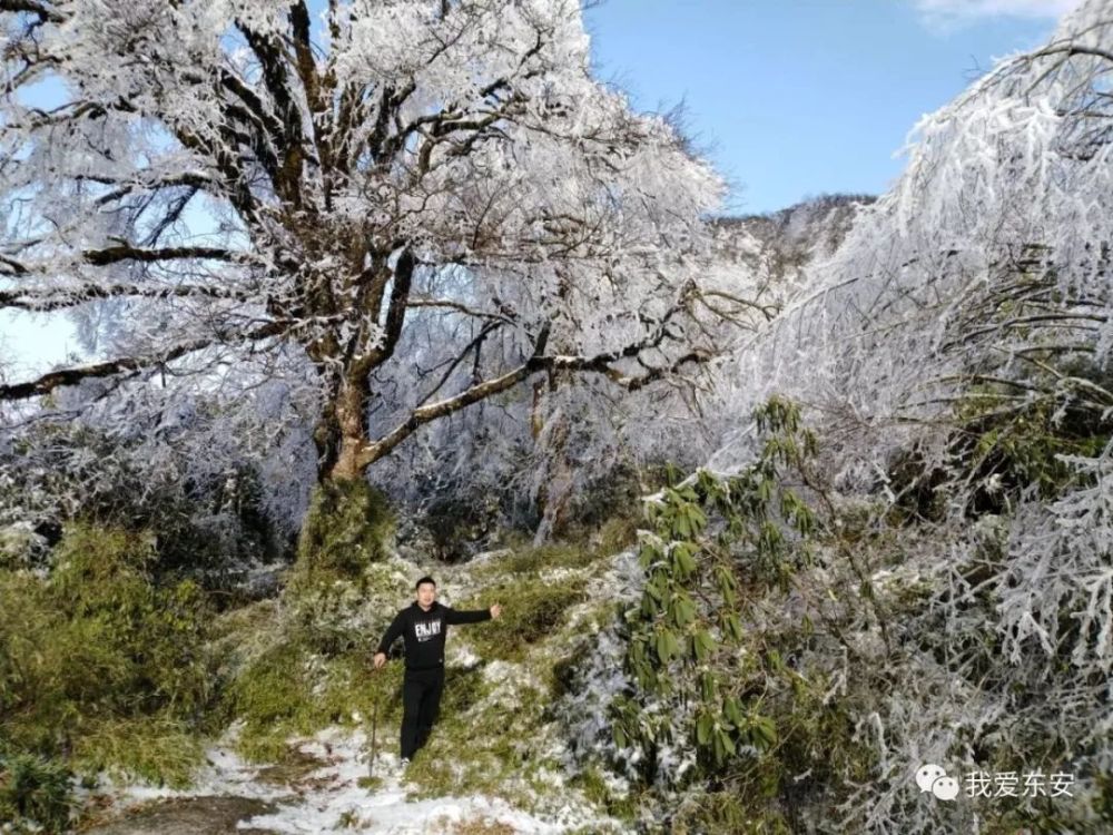 湖南永州下雪图片