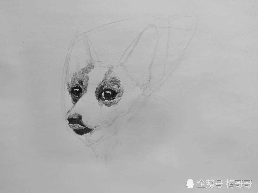 動物素描 | 一隻可愛的柯基狗狗素描繪畫_騰訊新聞