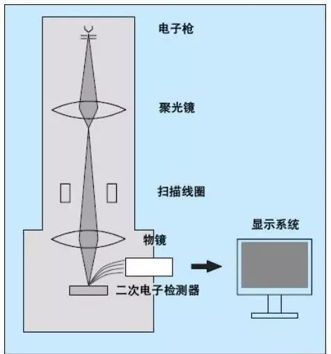 扫描电子显微镜示意图图片