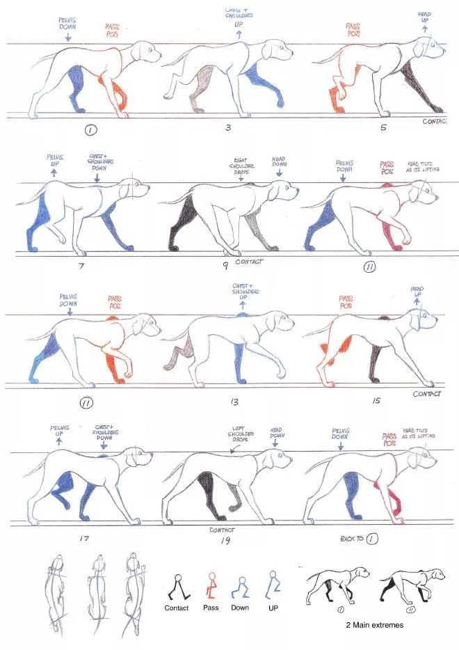 slynyrd像素画教程:8帧小狗行走动画_腾讯新闻