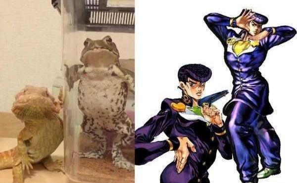 《JOJO的奇妙冒险》最难jojo立，小飞机立断尾骨，jo立波反重力