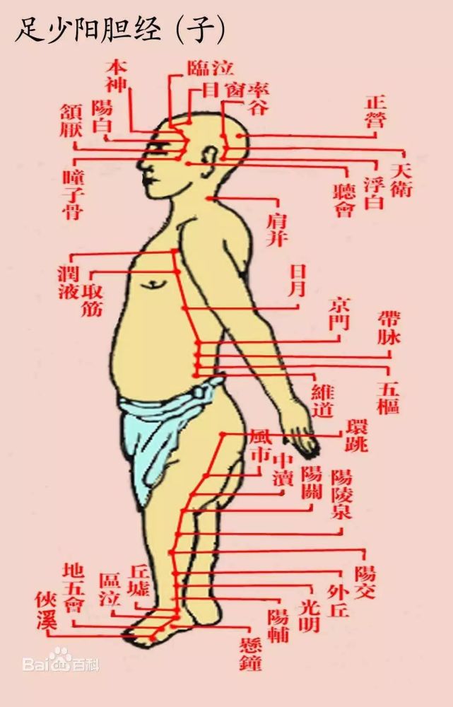 要想健康天天乐,经络拍打不可缺!